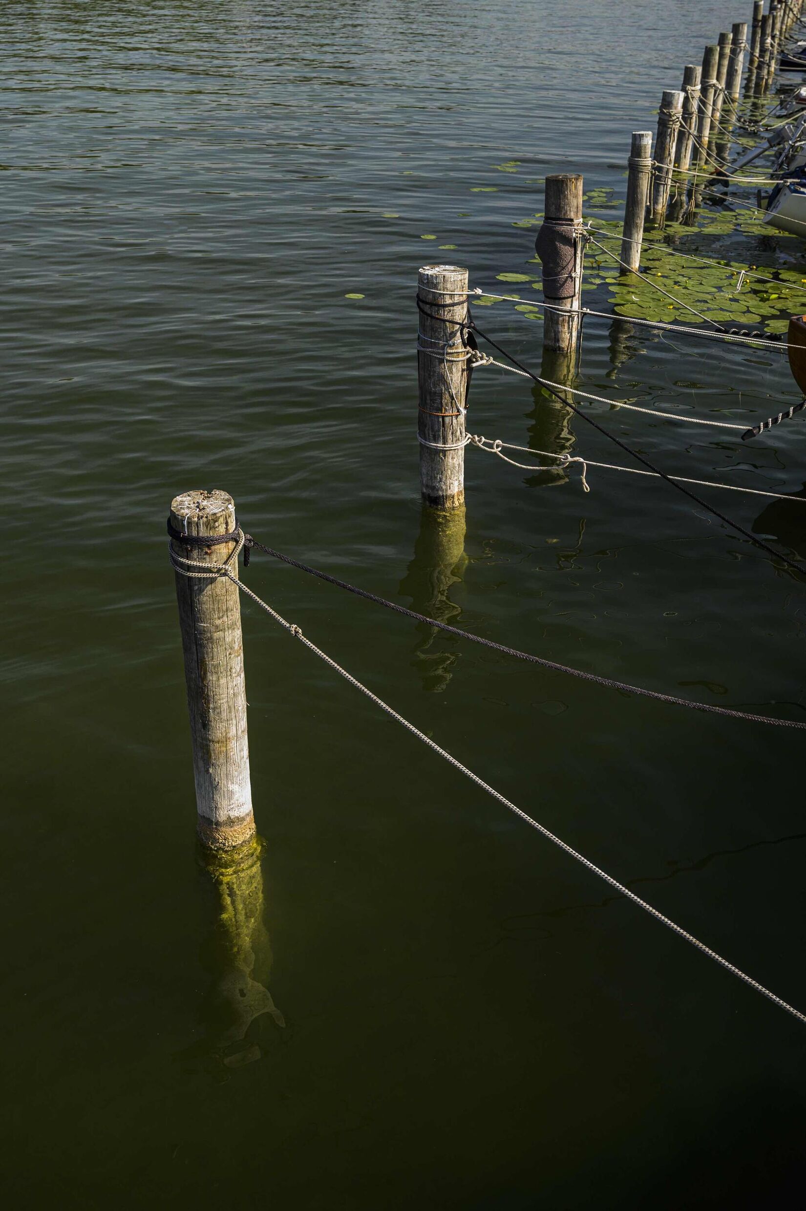 Janina Laszlo Boat Wright